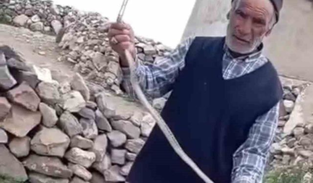 Eve girmeye çalışan yılanı çıplak elle etkisiz hale getirdi