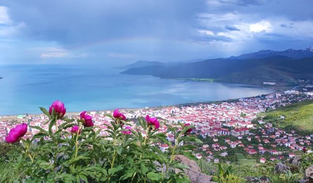 20 günlük doğa mucizesi Tatvan’da görsel şölen sunuyor