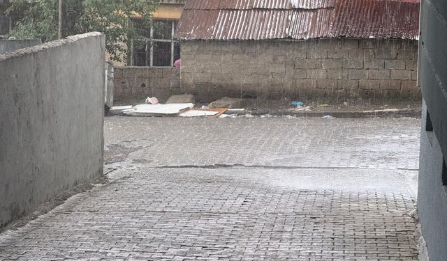 Tatvan'da sağanak ve dolu hayatı olumsuz etkiledi