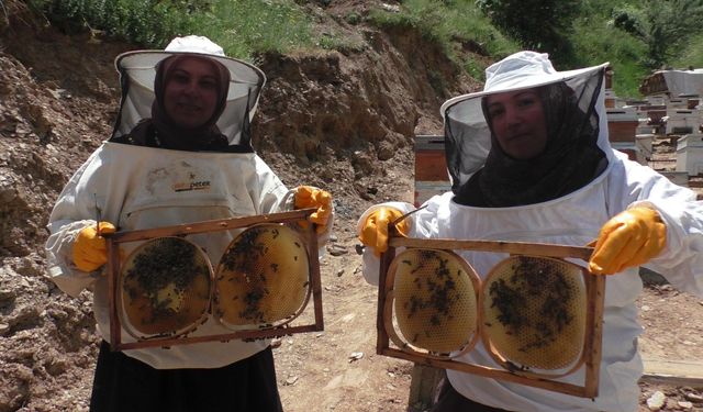 Gelin ve görümce el ele verdi, arıcılıkta örnek başarıya imza attı