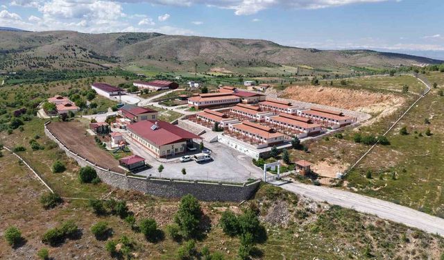 15 bin 368 hayvan tedavi edildi, binlercesi sağlığına kavuştu