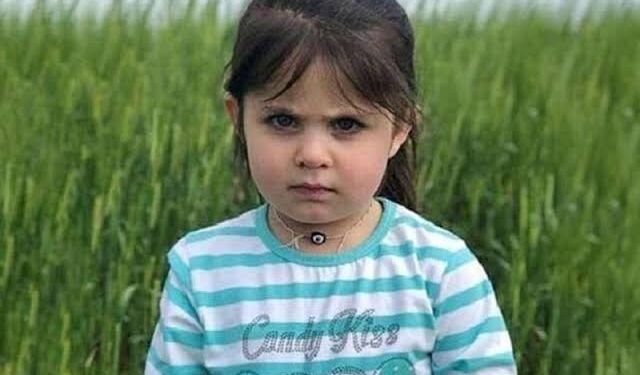 Annenin beyanları sonrası Leyla Aydemir davasında yeni süreç