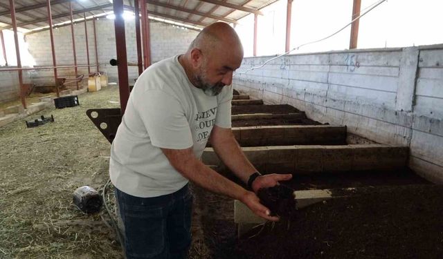 Bahçesinde ürettiği solucan gübresi kazanca dönüştü