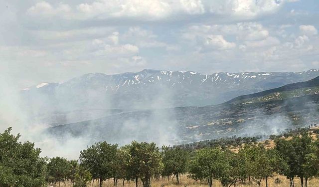Bingöl'de çıkan orman yangını büyümeden söndürüldü