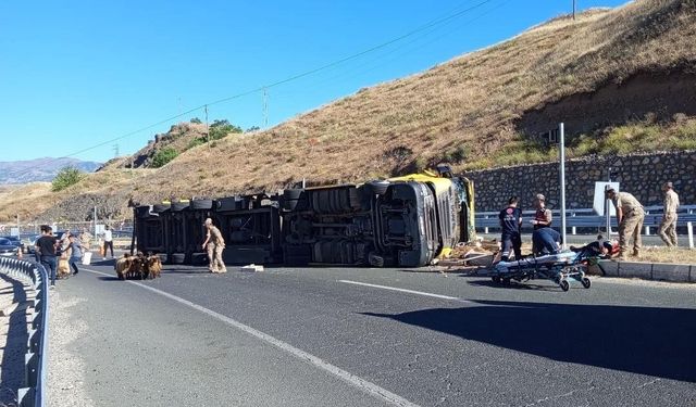 Elazığ'da hayvan yüklü tır yan yattı: 2 yaralı