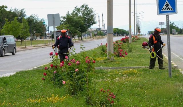 Erzincan'da yeşil alanlarda bakım çalışmaları devam ediyor