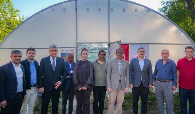 Hakkâri'de 362 bin 700 sebze fidesi desteği