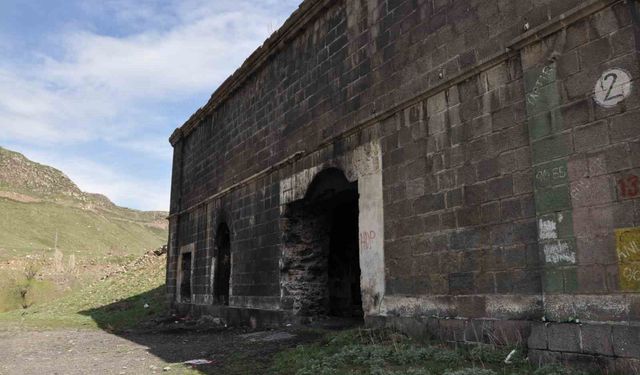 Kars'taki tabyalar sokak hayvanlarına barınak oldu