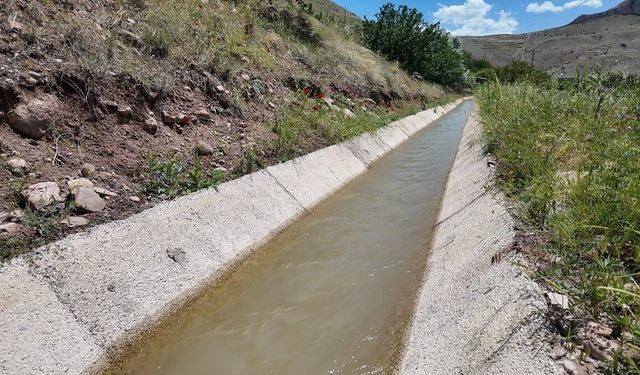 Tarıma büyükşehir katkısı sürüyor