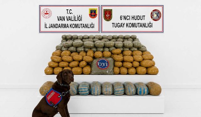 Van'da 291 kilogram toz esrar yakalandı