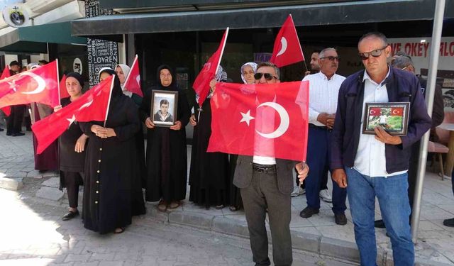 Vanlı ailelerin evlat nöbeti 120'nci haftasında devam ediyor