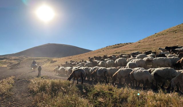 Nemrut eteklerinde kartpostallık yayla göçü