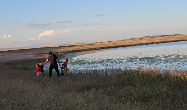 Adilcevaz'daki göletler yağışlarla yeniden doldu