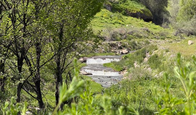 Ahlat’ta ilkbaharın güzelliği hayran bıraktı