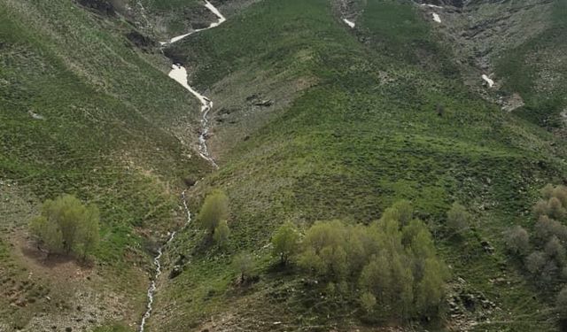 Hizan dağlarında kar sularının coşkusu