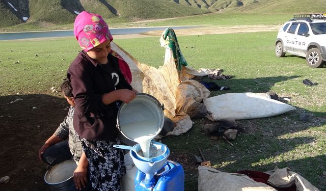 Bitlis'te göçerler için 5 aylık yayla serüveni başladı