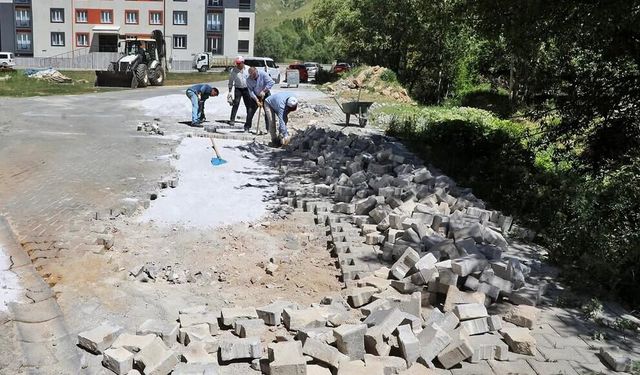 Bitlis Belediyesi’nden Yol ve Kaldırımlarda Yenileme Atağı