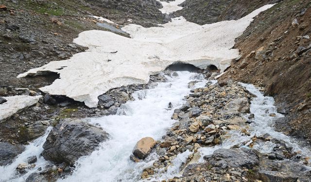 Karın altından doğan Yamaç Suyu, Hizan’da çeltik tarlalarına hayat veriyor