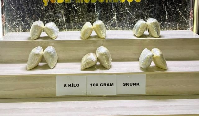 Bitlis'te 8 kilo 100 gram skunk ele geçirildi: 2 tutuklama