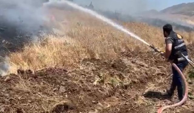 Alevler Elazığ'da 35 dönümlük ekili alanı yok etti
