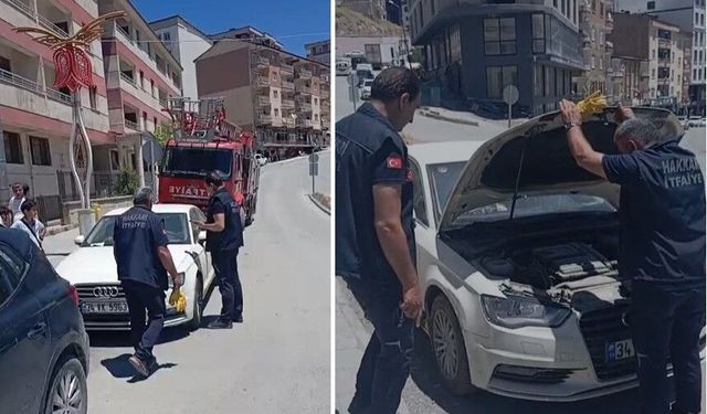 Araca sıkışan yavru kedi ekipler tarafından kurtarıldı