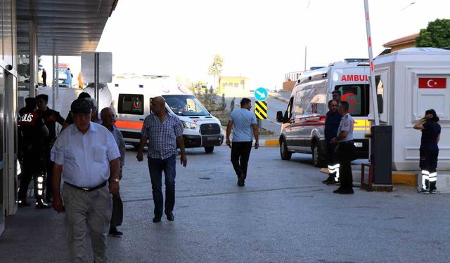 Arı sokması ölümcül alerjik reaksiyonlara yol açabilir