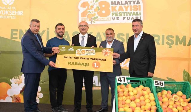 'En İyi Kayısı' yarışması yapıldı