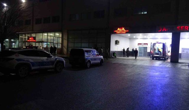 Malatya'da 'dut ağacı' kavgasında 2 kişi tutuklandı