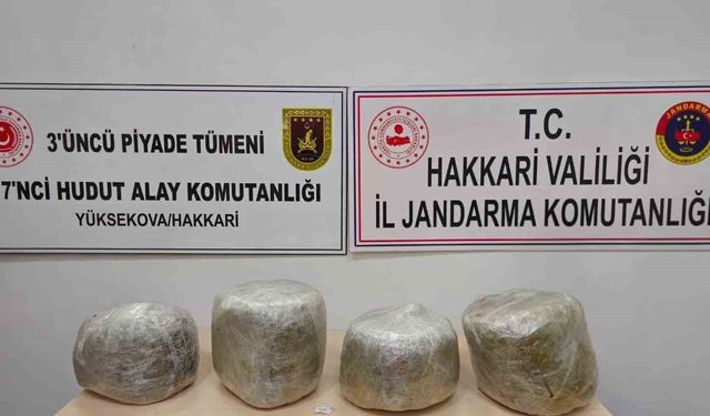 Yüksekova'da 11 kilo skunk yakalandı