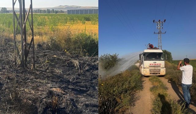 Ahlat’ta tarım arazisinde yangın