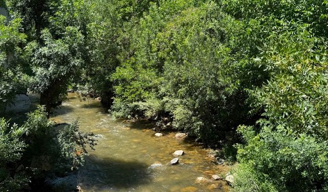 Horoz Deresi, yeşil ve mavi tonlarıyla büyülüyor