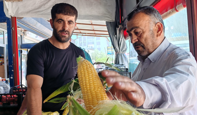 Bitlis'te süt mısır tezgahlarda yerini almaya başladı
