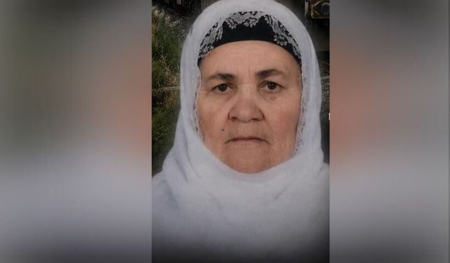 Tatvan'da yük treninin çarptığı kadın hayatını kaybetti