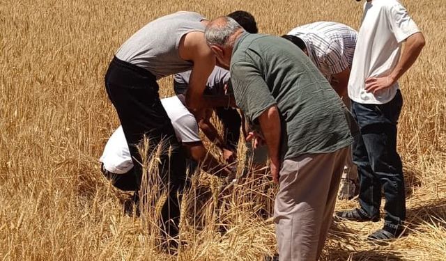 Tatvan'da otomobil yoldan çıktı: 1 yaralı