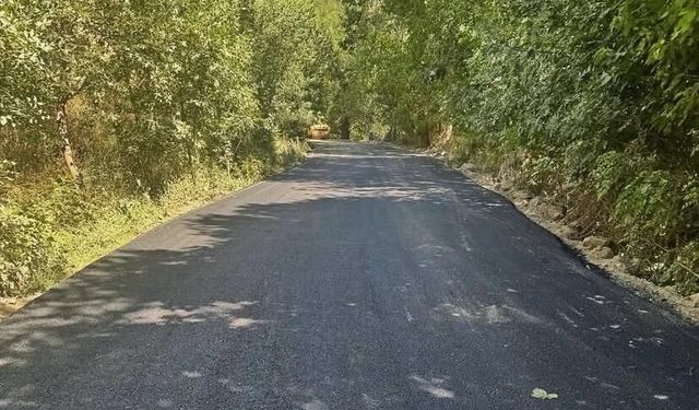 Bitlis'te Köy Yollarında BSK Seferberliği Sürüyor