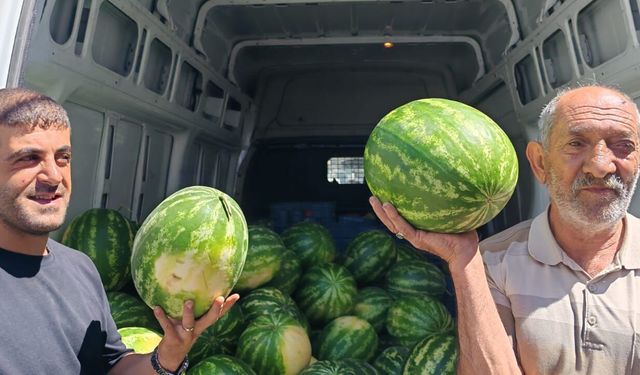 Adilcevaz karpuzu tezgahlarda yerini aldı