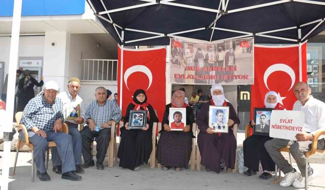 Çerçeve yasa sonrası ailelerin umudu yeniden yeşerdi