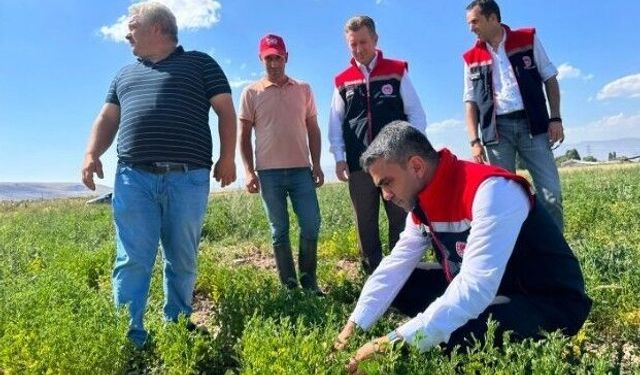 Erzurum'da tarımsal destekler üretime katkı sağlıyor