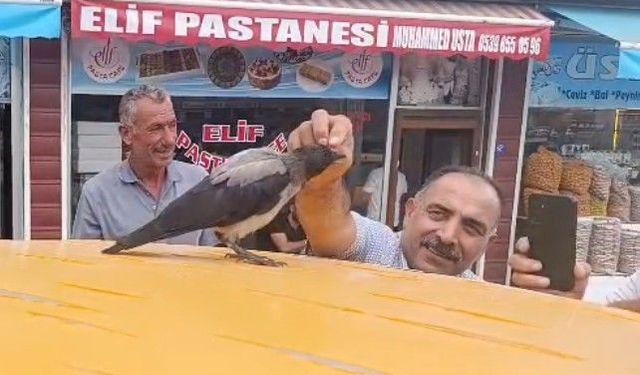 Hasta kargaya yardım etti: O günden beri her gün kasap dükkânına geliyor