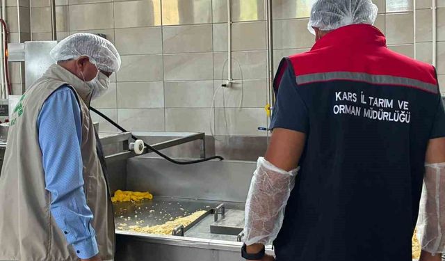Kars'ta gıda denetimleri aralıksız sürüyor