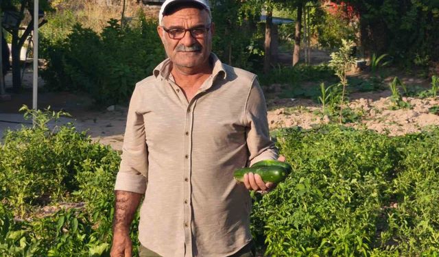 Kız kardeşinin organıyla yaşama döndü, toprağa umut ekiyor