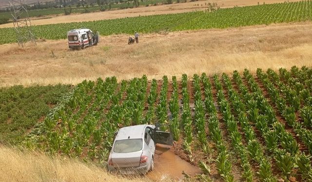 Malatya'da otomobil tütün tarlasına uçtu: 3 yaralı