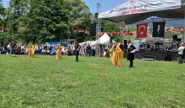 Posof Kültür ve Sanat Festivali coşkuyla yapıldı