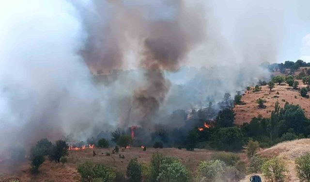 Pütürge'de orman ve örtü yangını ekipler tarafından söndürüldü