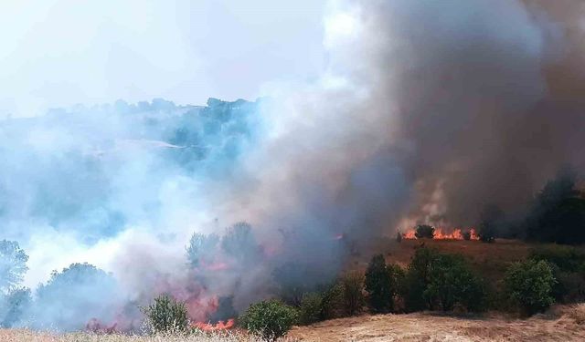 Pütürge'de orman ve örtü yangınına havadan müdahale yapıldı