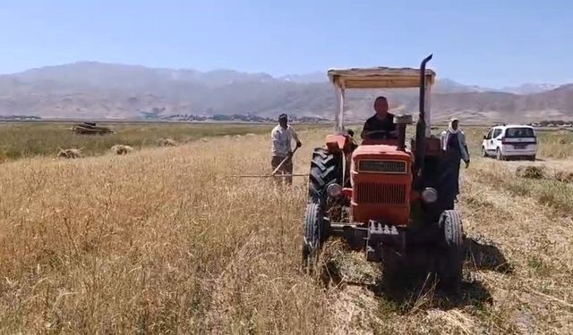 Sıcak hava çiftçiyi durdurmadı, hasat başladı