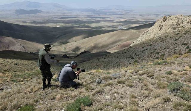 Van'daki kelebeklerin peşinde 2 bin kilometre yol gittiler