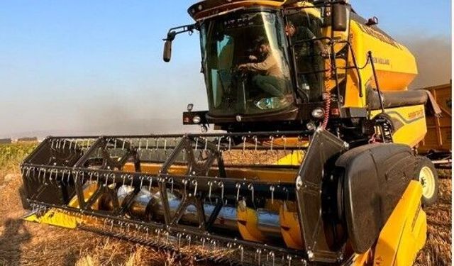 Yerli buğday PARLA dikkat çekiyor: Çetin kış koşullarına meydan okuyor