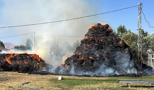 Yüksekova'da 6 bin 500 bağ ot küle döndü