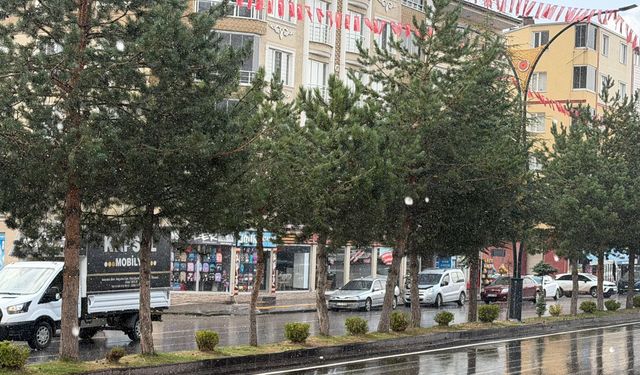 Ahlat’ta sabah saatlerinde yağmur etkili oldu